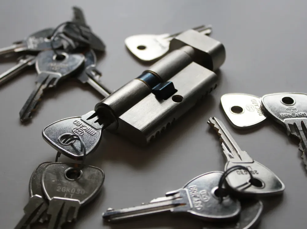 Reproduction télécommande portail à Noisy le Grand